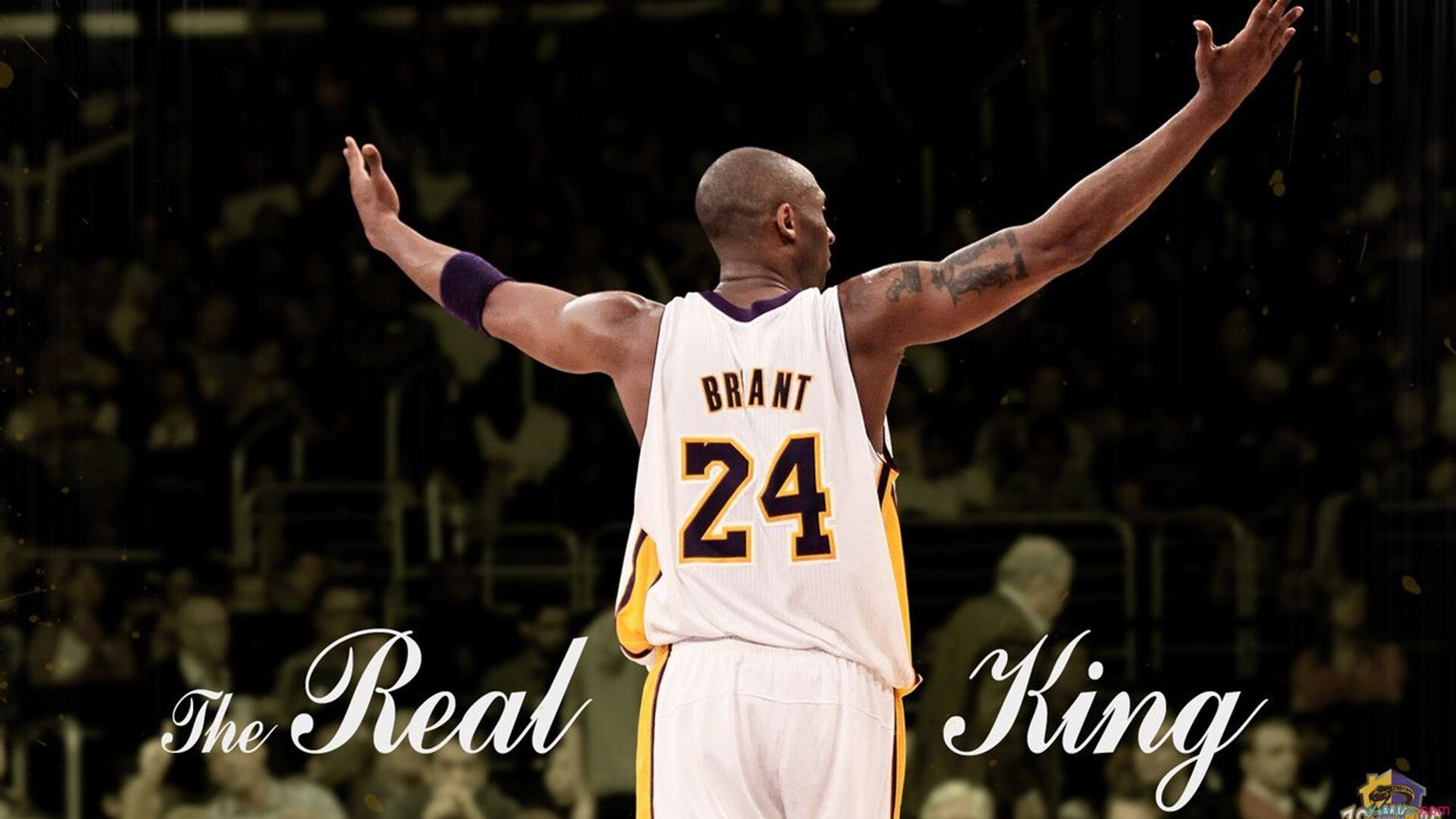 开云综合服务-《赛事直播全解析：从画面到配音的每一细节》，赛事录播